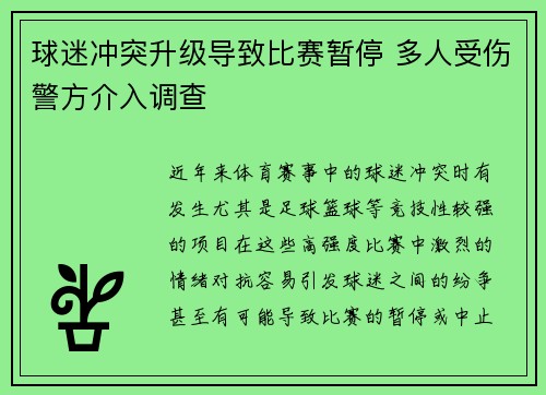 球迷冲突升级导致比赛暂停 多人受伤警方介入调查
